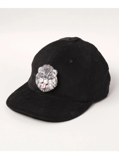 CA4LAiJV)DOU01878 GAO-CAP