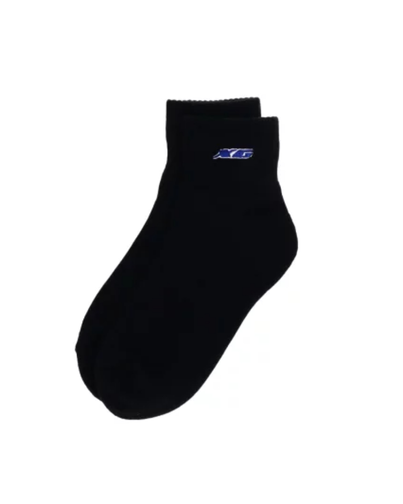 X-girl�i�G�b�N�X�K�[���j105241054019 XG LOGO EMBROIDERY RIB SOCKS